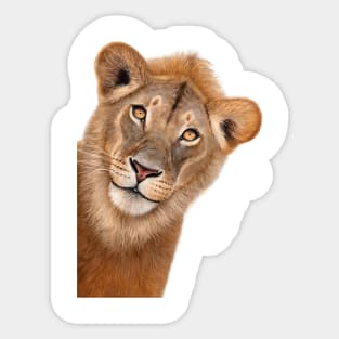 The Lion Sticker